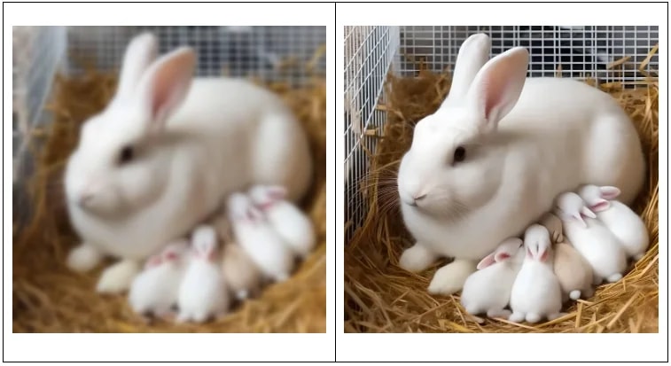 A white rabbit and her litter of kits nestled in a straw bed within a cage.