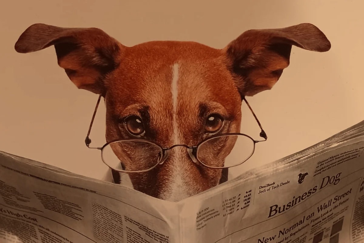 A dog with glasses reads a newspaper titled "Business Dog," showcasing a humorous take on a pet in a business context.